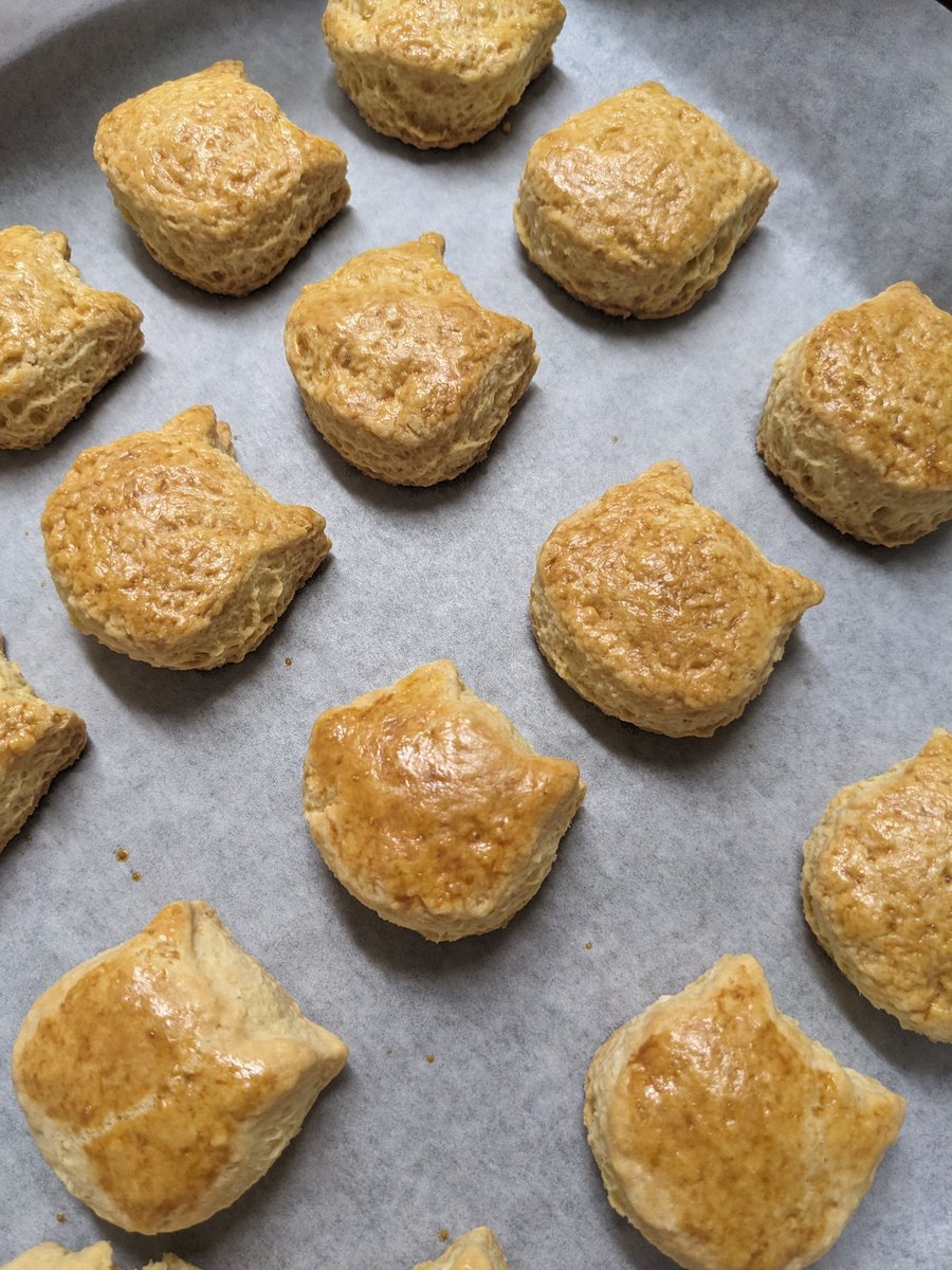 kasy🕊‎ tweet media