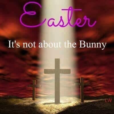 Talvimetsä tweet media