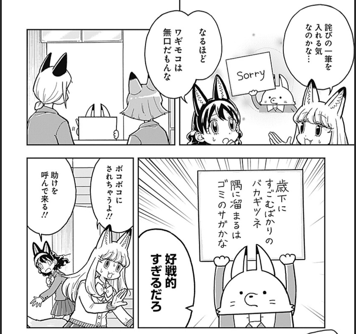 ペルケン tweet media