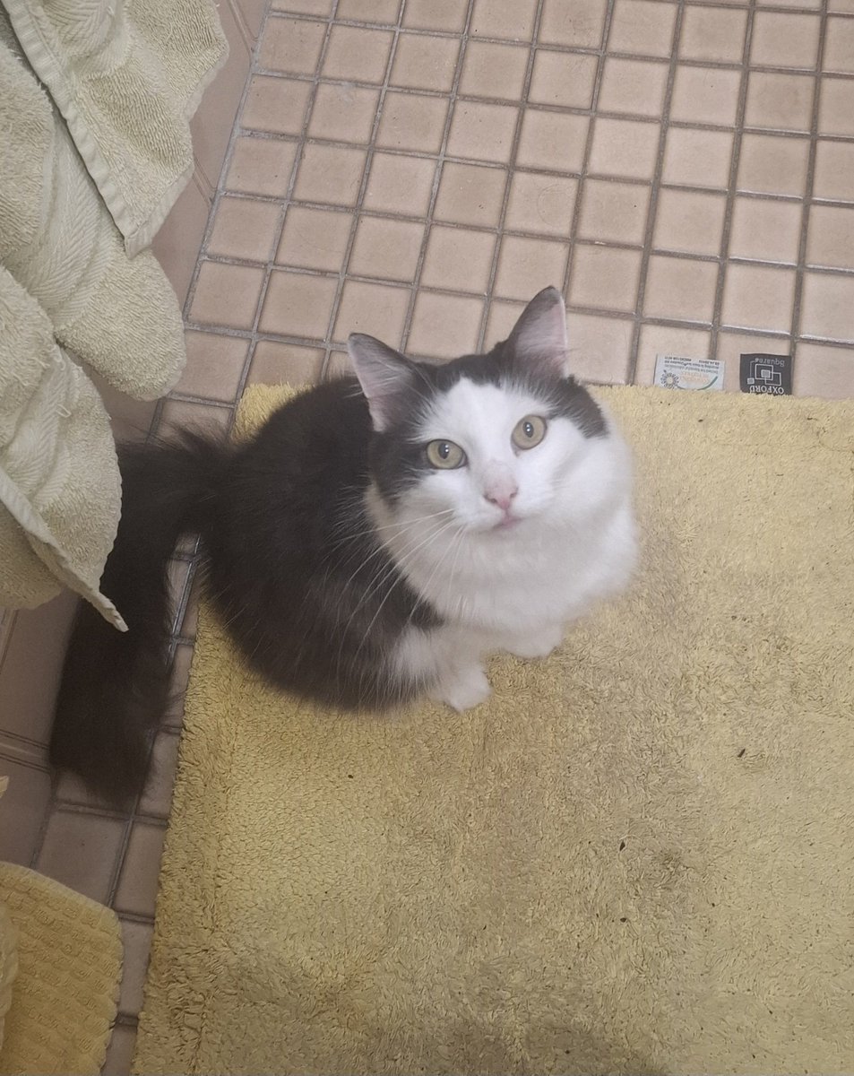 ⚔️SWORD🍉 tweet media