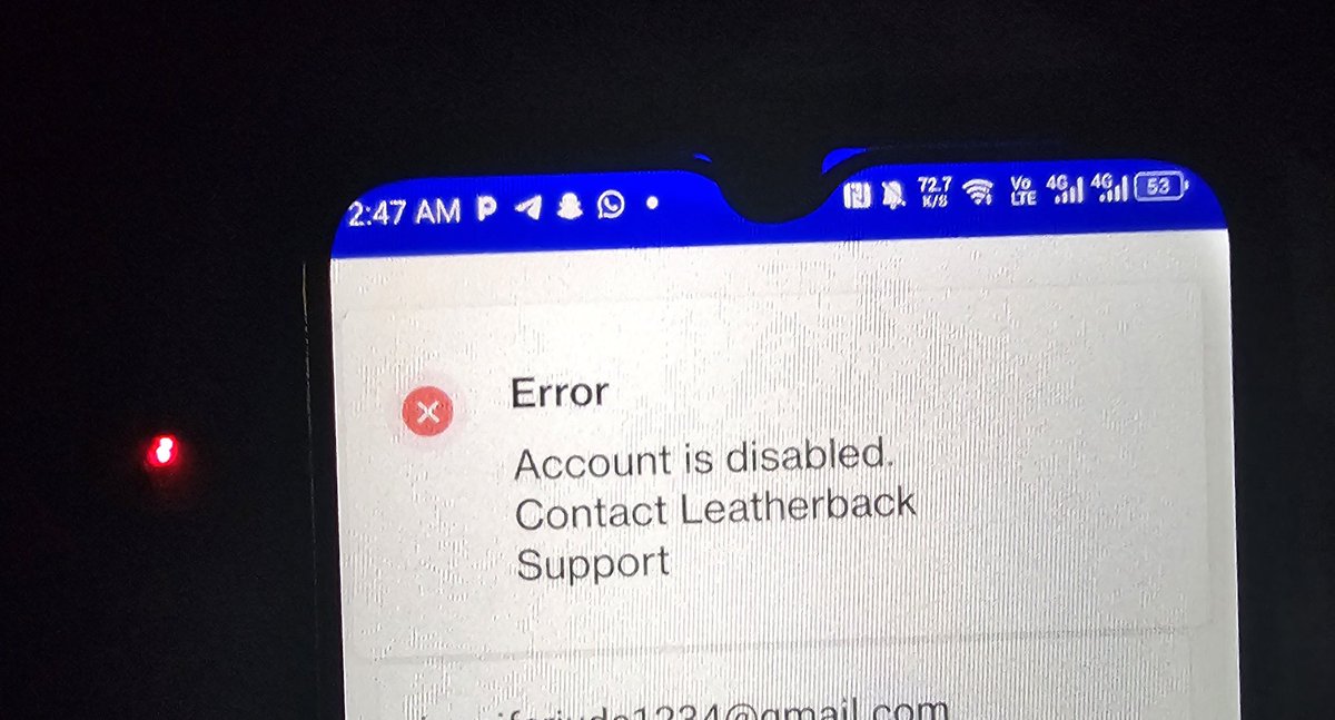 Jennifer Bello tweet media