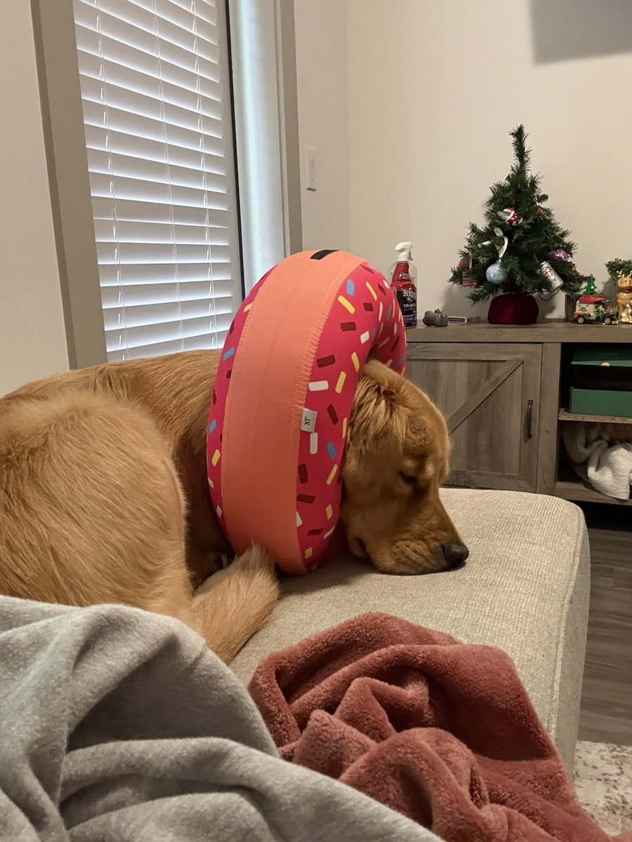 MikeIndo22's tweet image. Day 1,237 of tweeting @vindiesel until he promises me he’s going to put Pepas in the next Fast movie.  I will never stop grinding, I am dedicated #family and I know what this song will do to #FastandFurious #Fast11 needs this. I need this. Athena needs this.