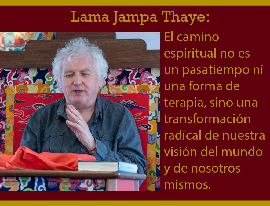 Dechen México tweet media