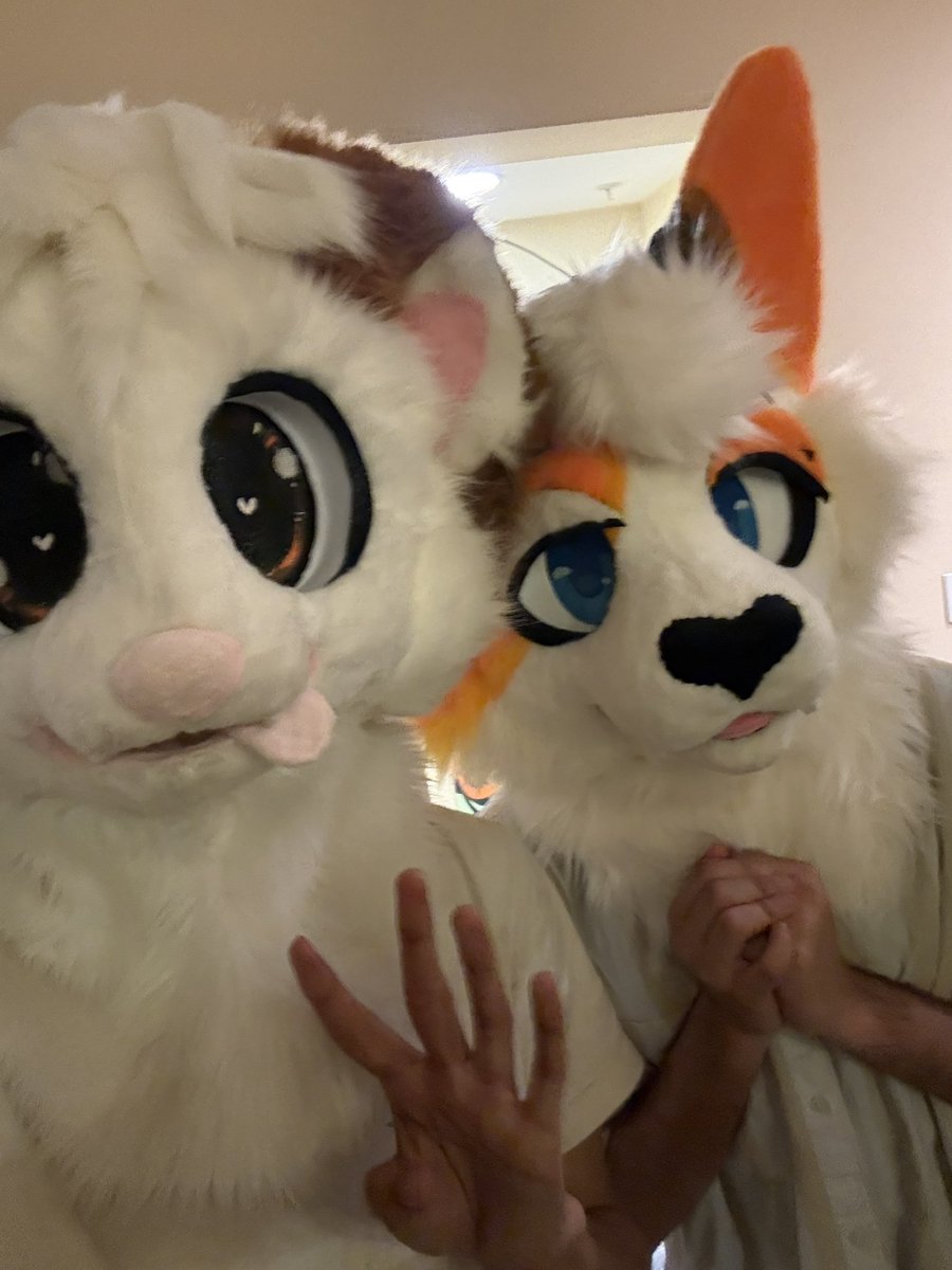 river 🔜 LVFC tweet media