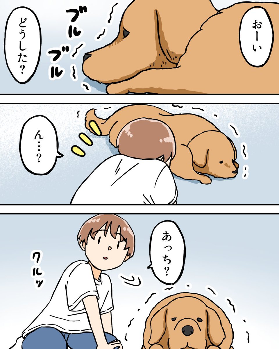 ババレオ tweet media