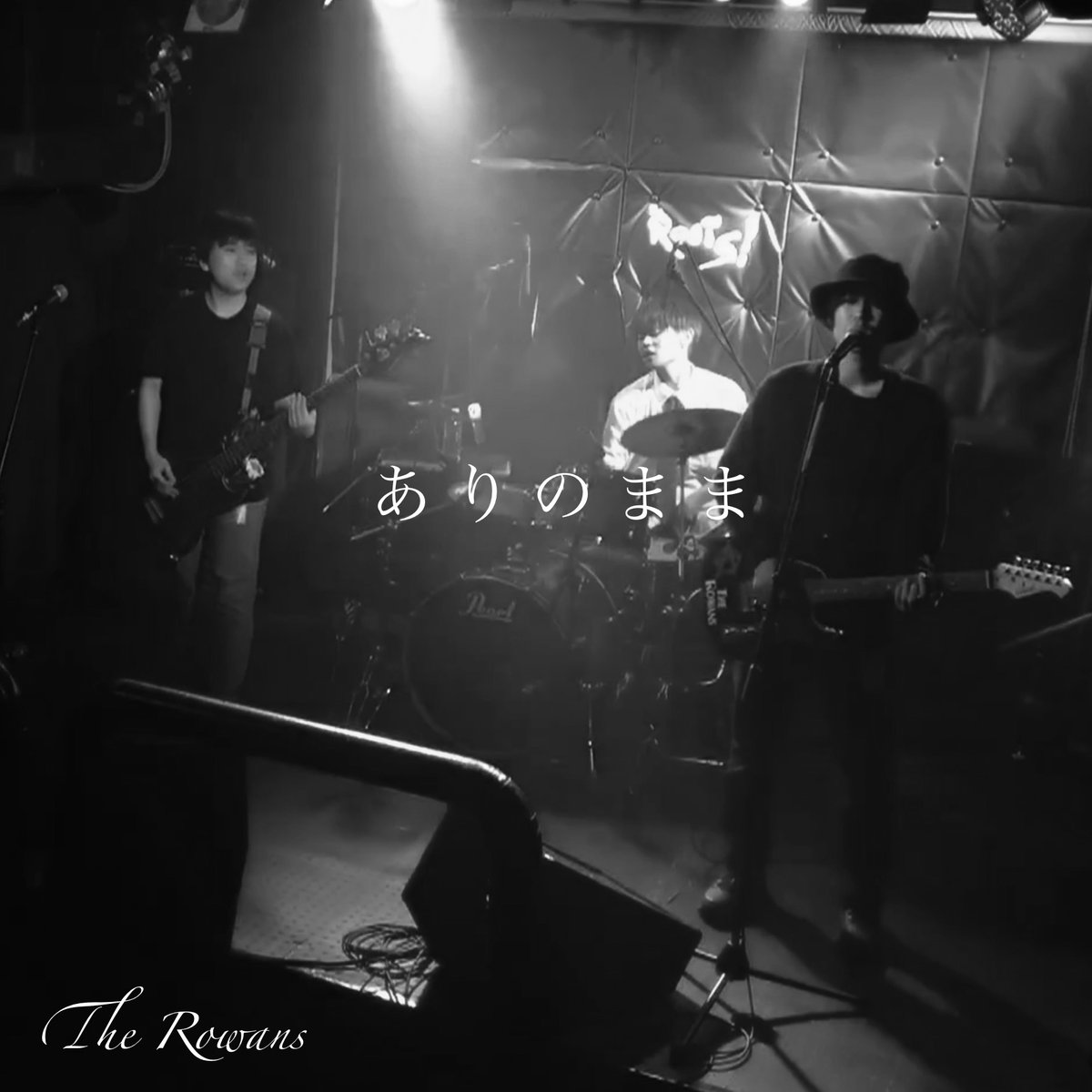 The Rowans tweet media