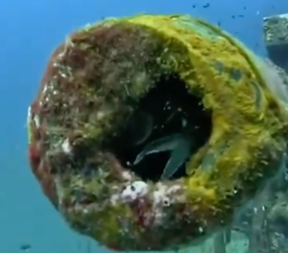 HoldCoins tweet media