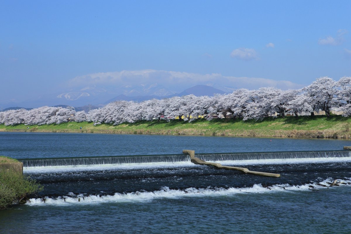 まっぷる編集部【公式】 tweet media