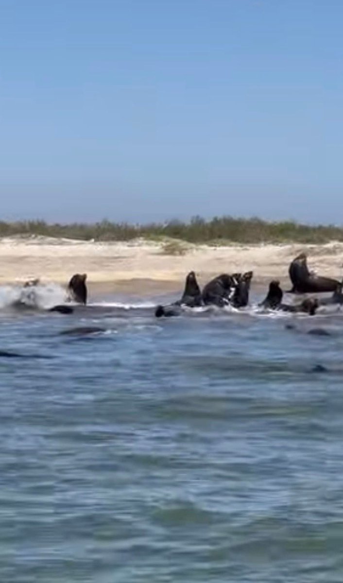 Rosa Lilia Torres- Noticias tweet media