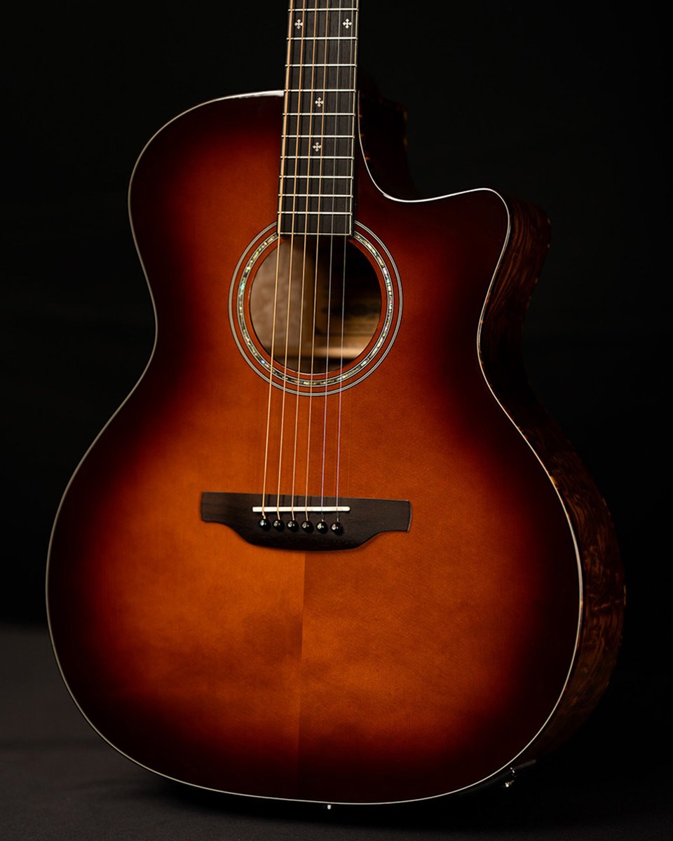 Aria Guitars tweet media