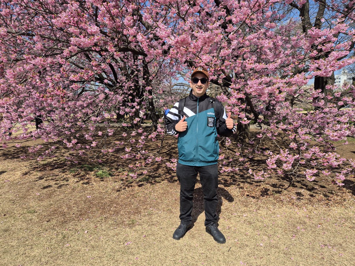 Nurstar 🐺✨🐱 tweet media