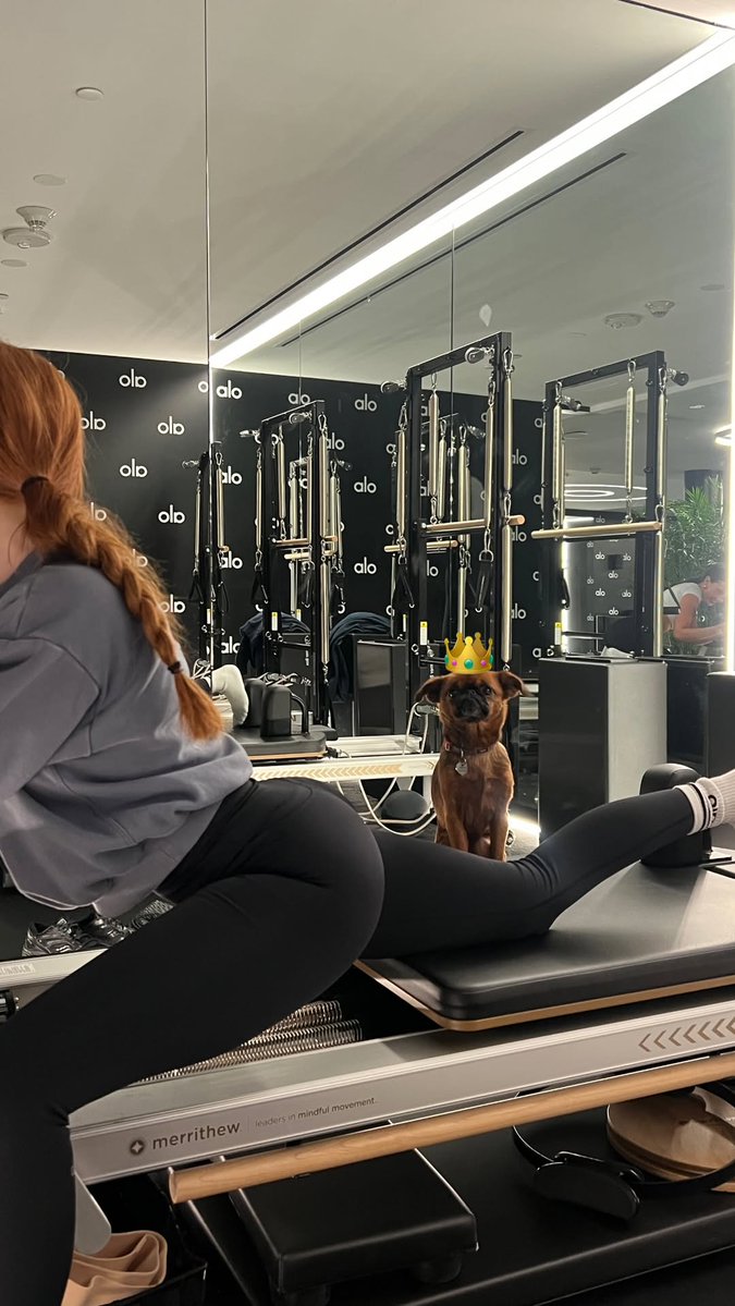 Madelaine Petsch UK tweet media