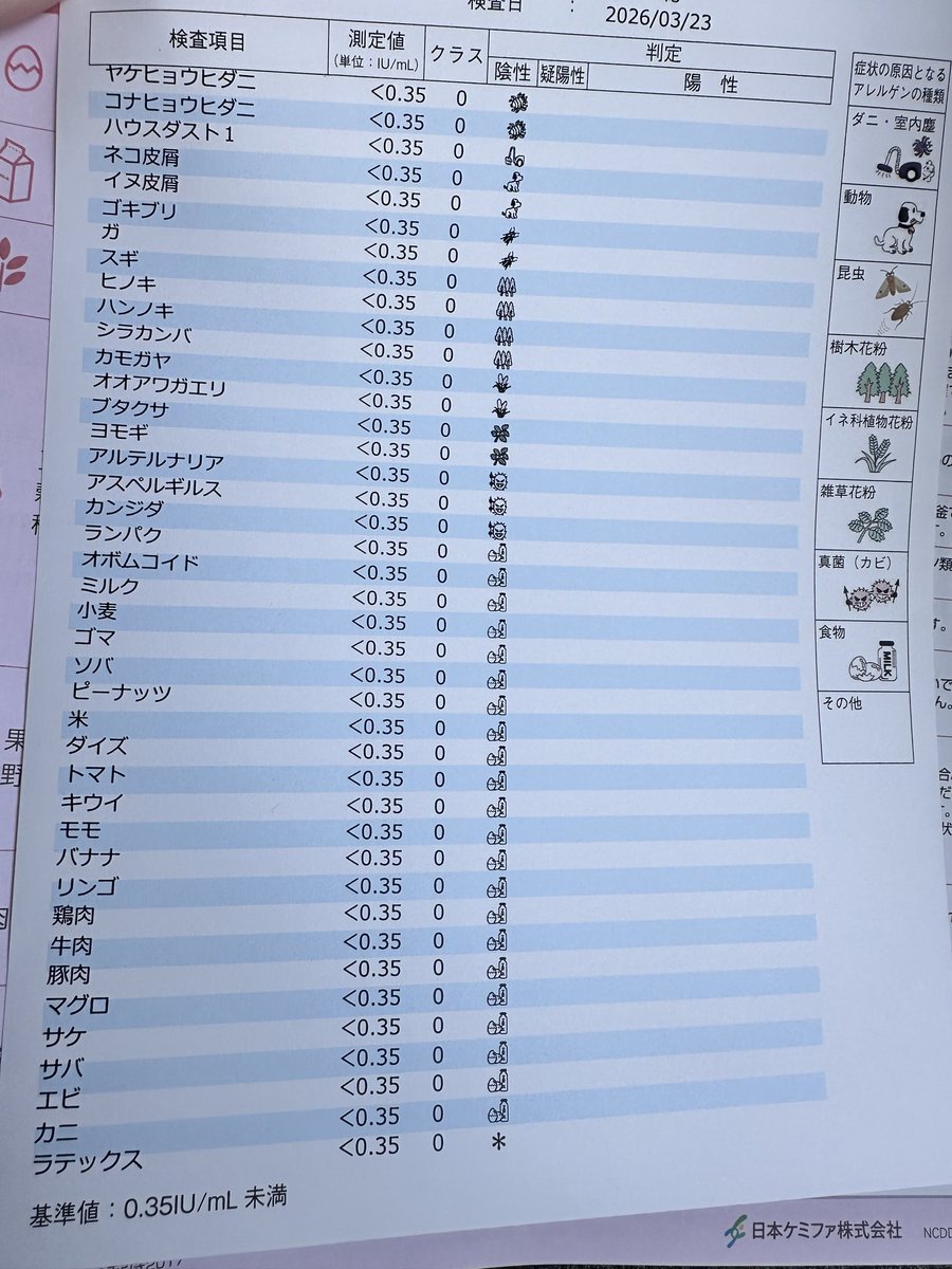 ぴぃ&5歳+0歳 tweet media