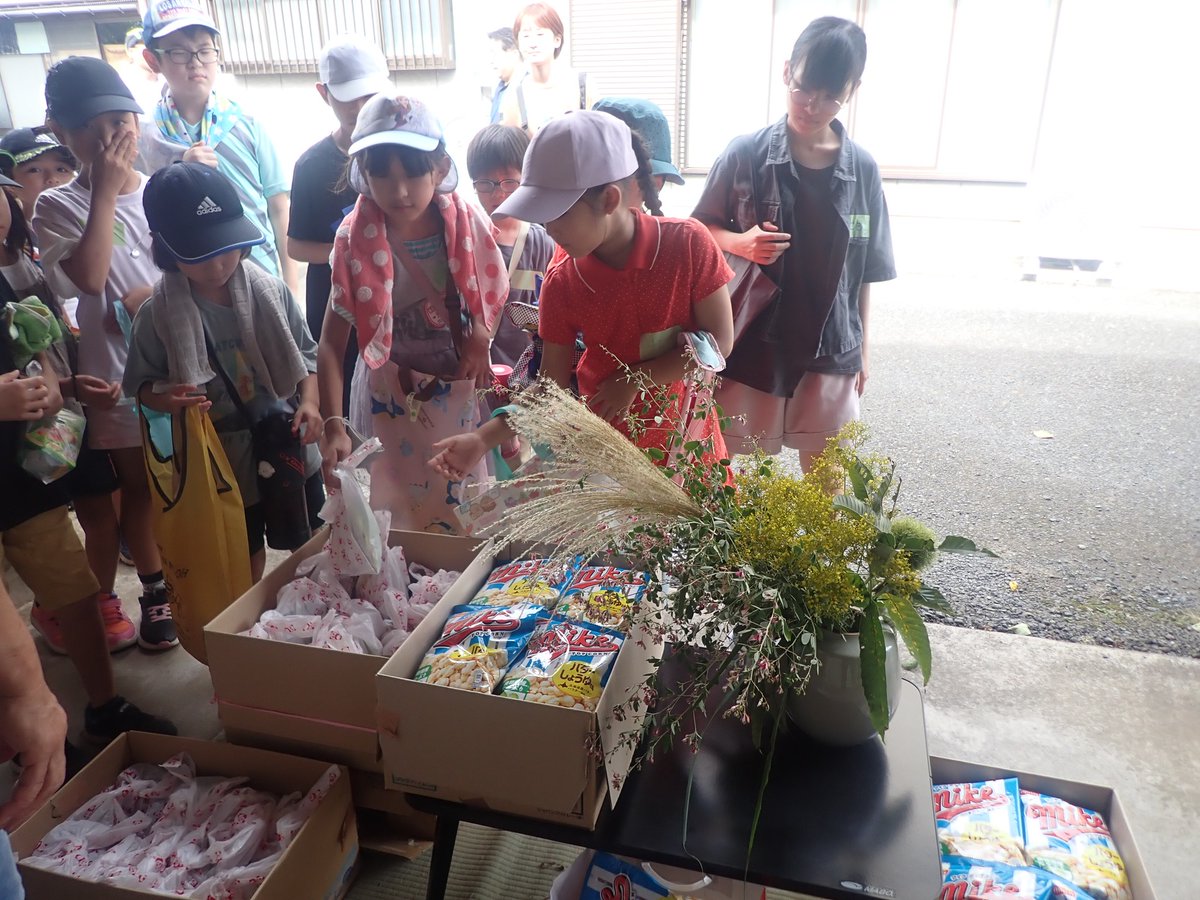 2026年度のきみかめの全てのイベントを公開しました！！
以下のURL（きみかめHP）で見れますので、是非とものぞいて見てください。
kimikame.net/event/?mode=ca…
きみかめや色々な自然でお子様から大人まで楽しめるイベントをご用意しました。
皆様とご一緒に活動できることを楽しみにしています♪