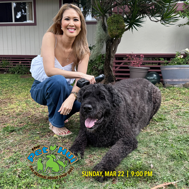 Spectrum OC16 TV tweet media