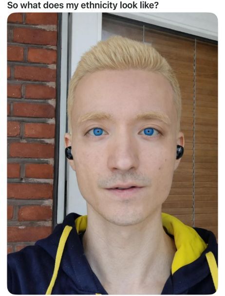 Braindead Bird App tweet media