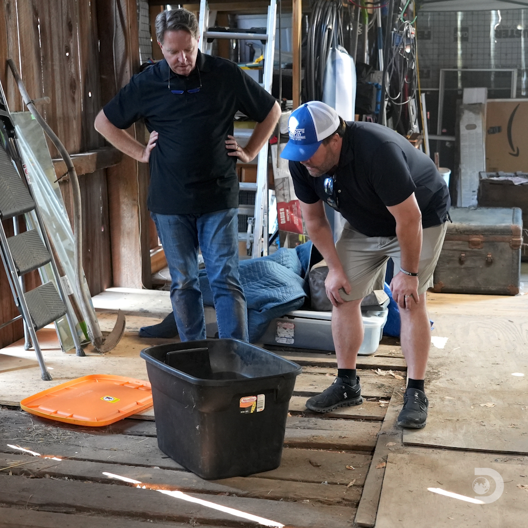 Discovery tweet media