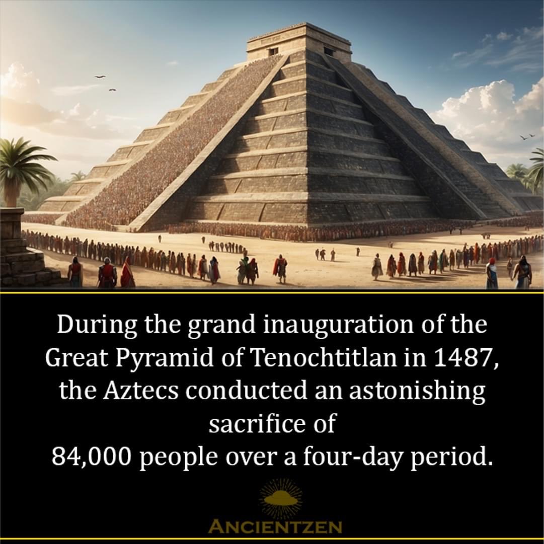 ThePatrioticDog tweet media