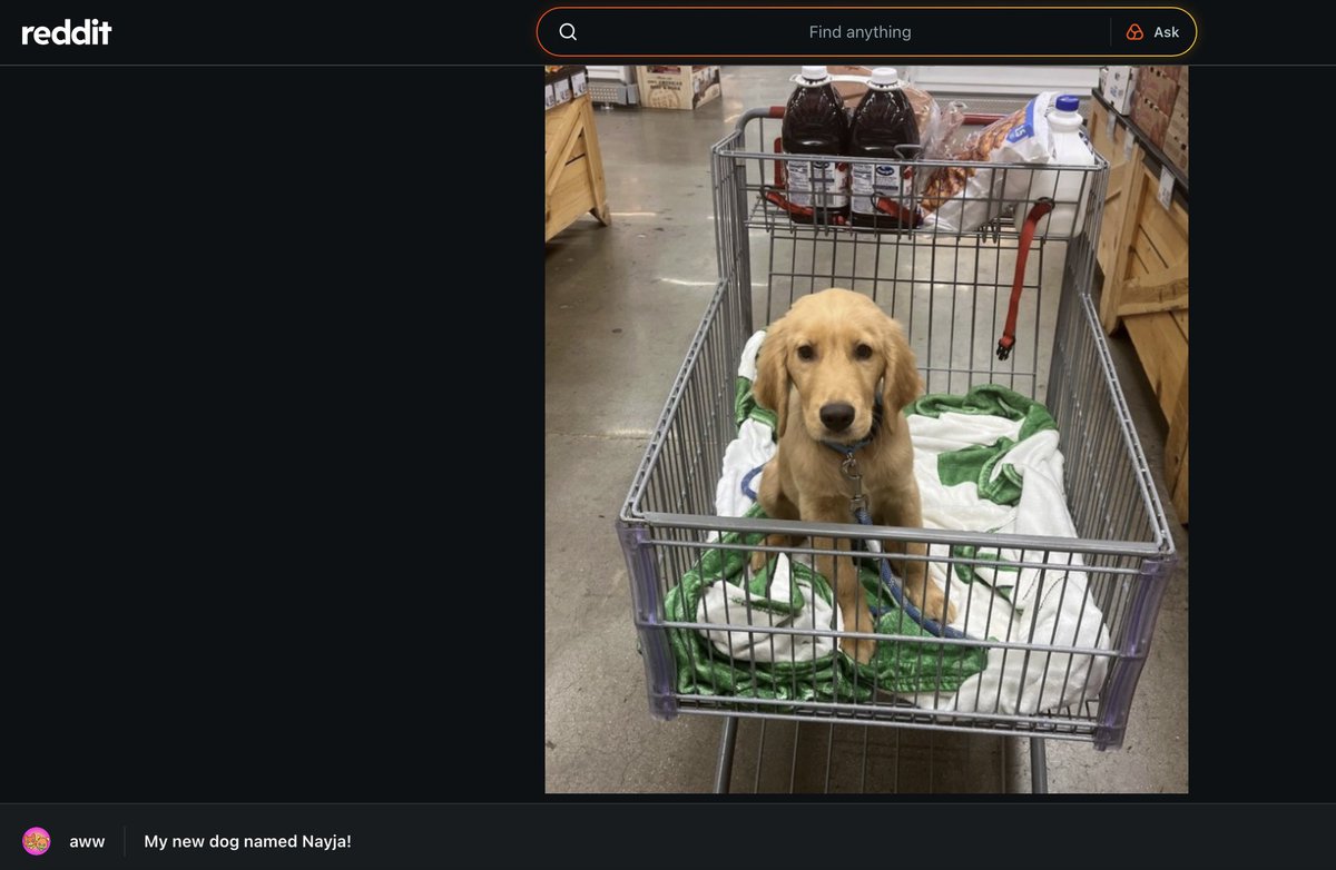 <a href="/BarkingPuppy8/">TheRealBarkingPuppy</a> <a href="/DarrenWS52/">Darren</a> <a href="/Roaring_puppy_8/">Roaring puppy</a> <a href="/DavisGilmer/">The Prophetic Outlaw</a> <a href="/cjeffbozo/">barkingbozo</a> <a href="/Enrique336/">Achilles</a> Unless he changed it, Kevin's dog is named Nayja, not Buddy