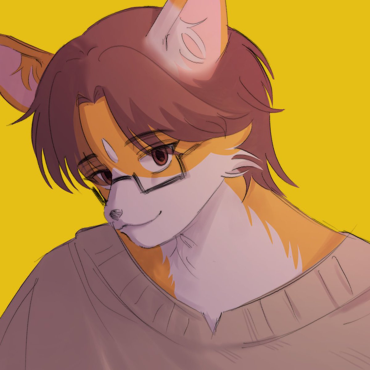 Adrián 🔜 퍼클 tweet media