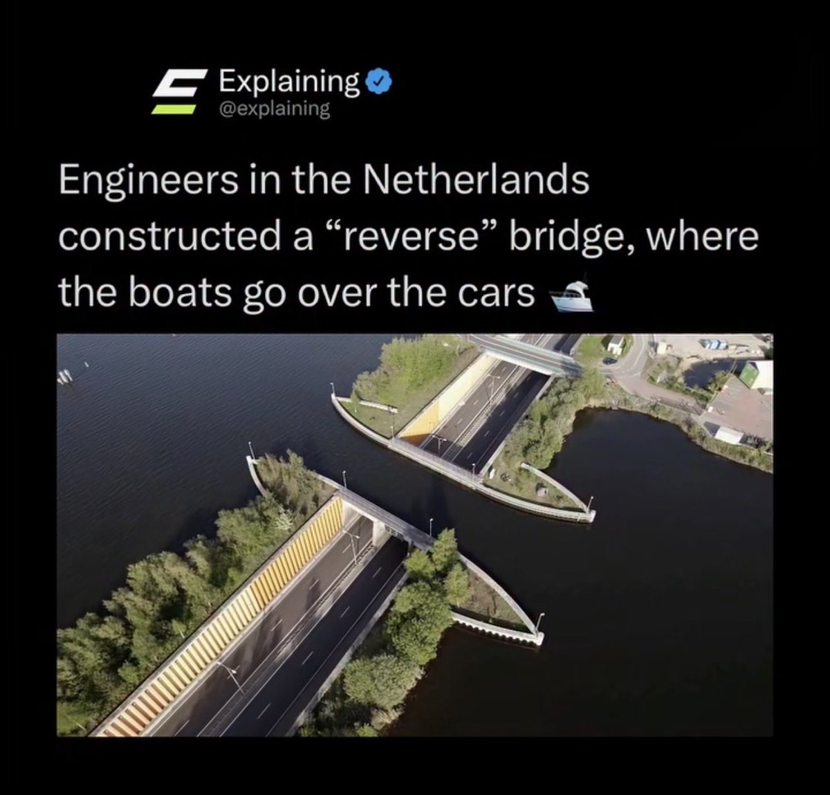 Anne_Frankly tweet media