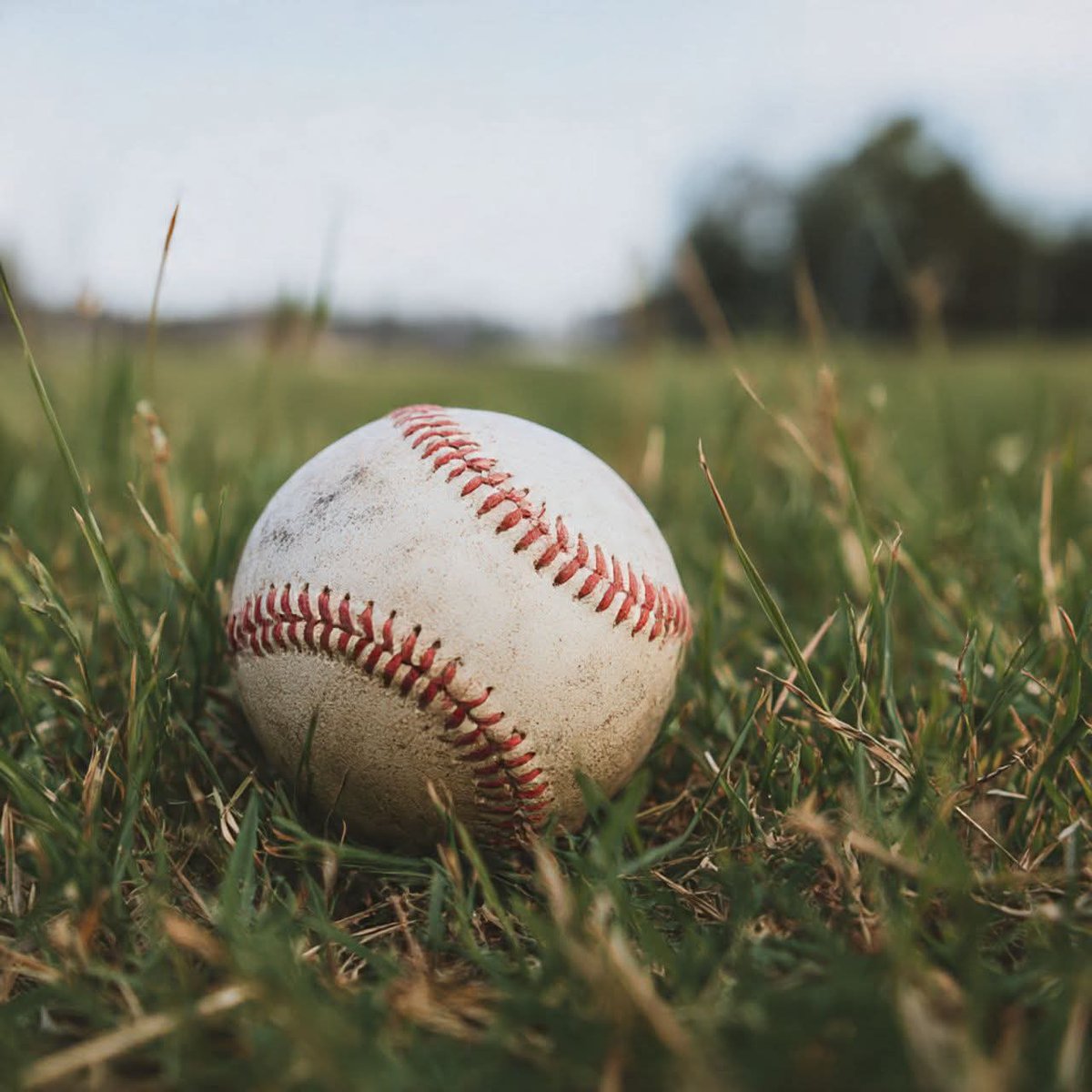 We have made it through the last weekend without Major League baseball until Nov. 7 😊  #MLB