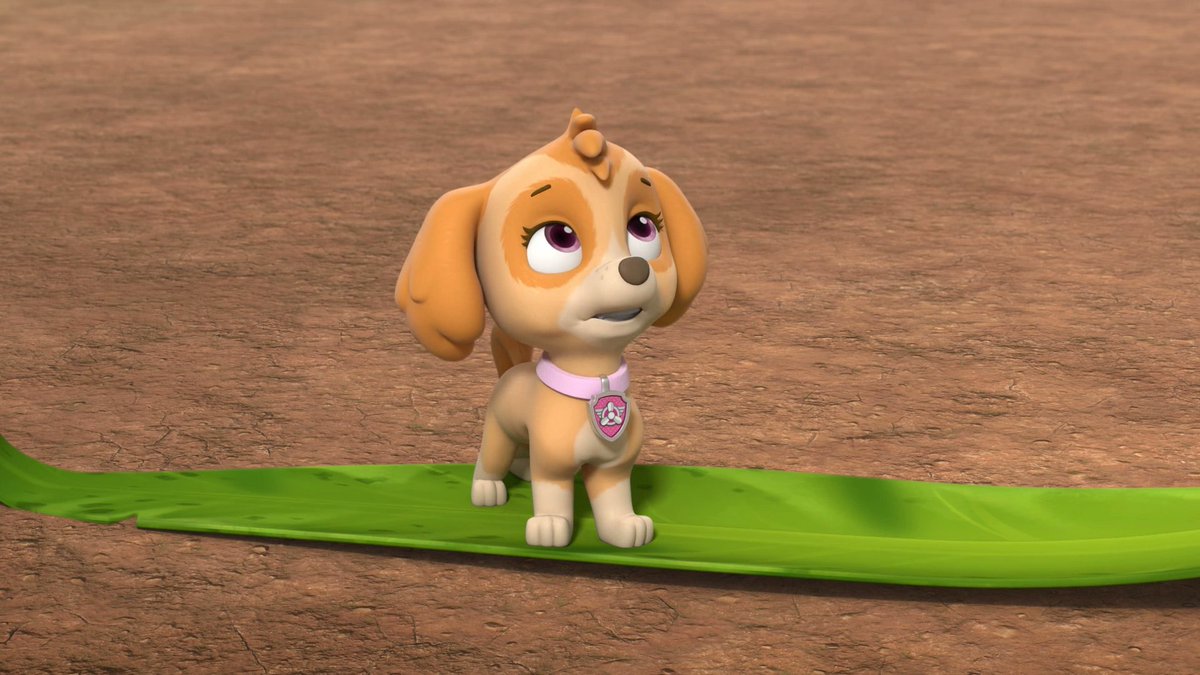 do ngoc hoang khang tweet media