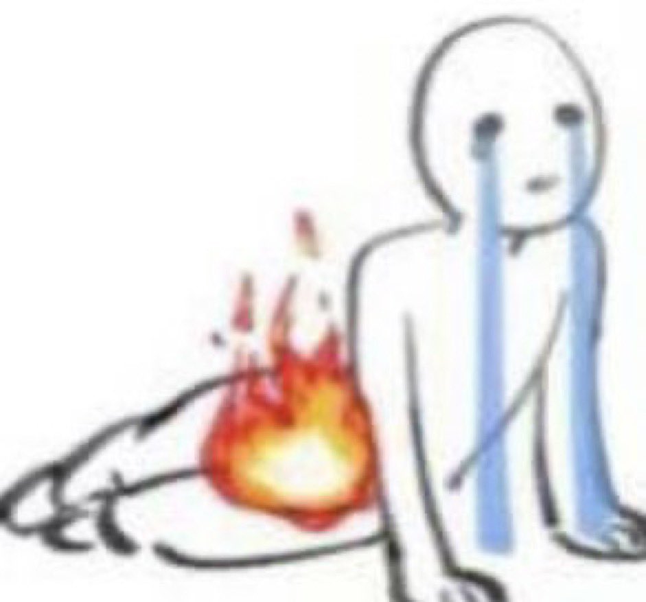 ⸙͎🌻 Sunflower tweet media