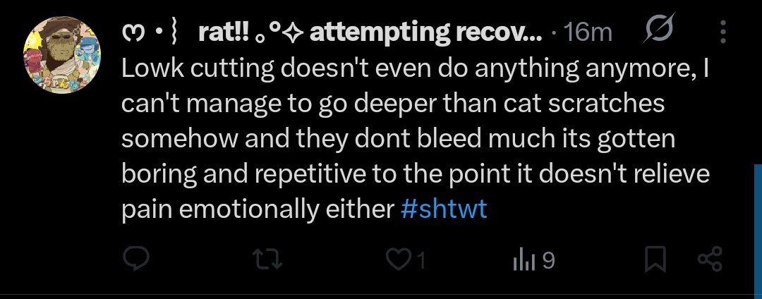 Mert 🇹🇷ᛉ tweet media