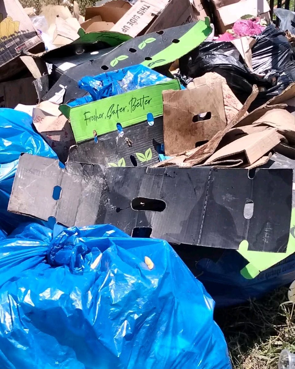 Ignatius tweet media