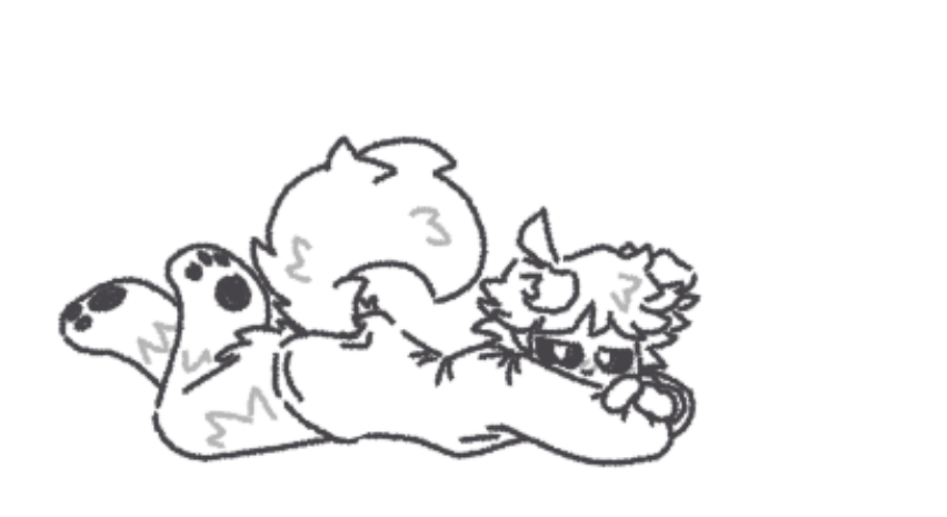 ✦placebowo✦ tweet media