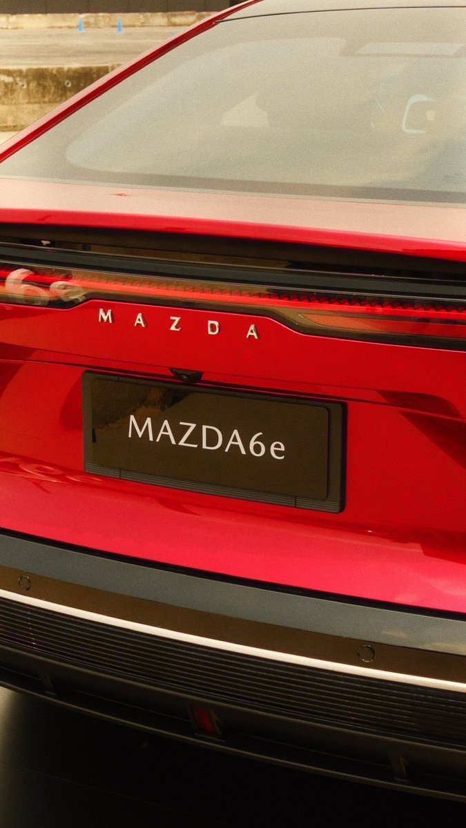 catto 1945 tweet media