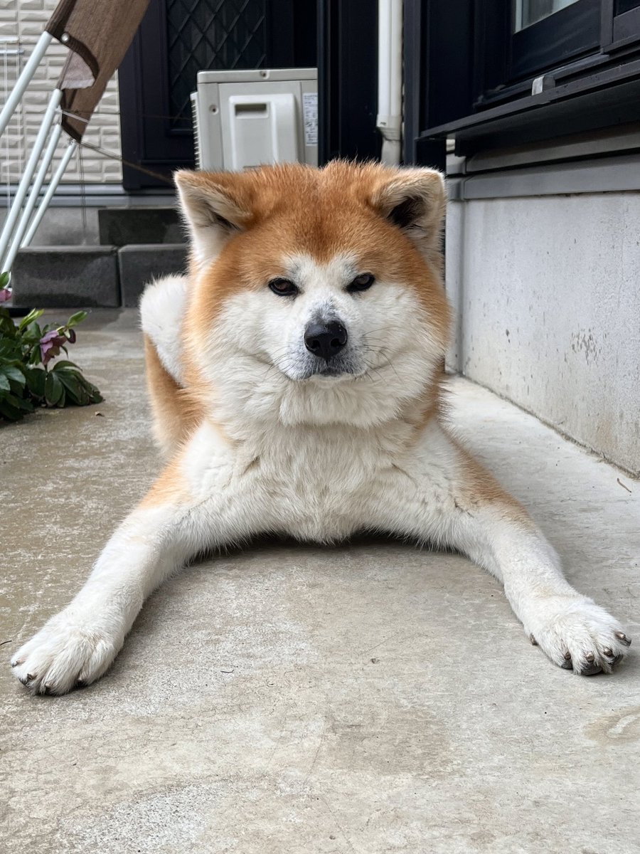 深海マザー tweet media