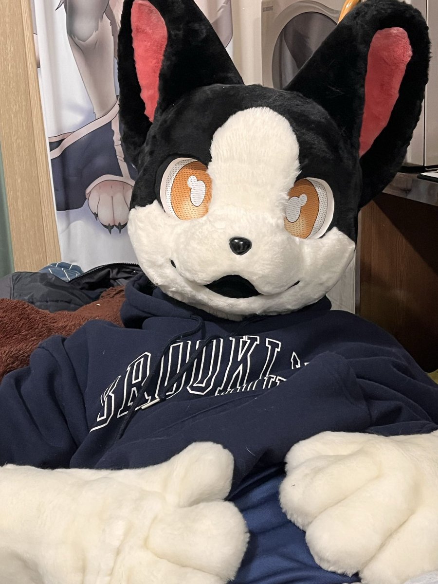 마일드 tweet media