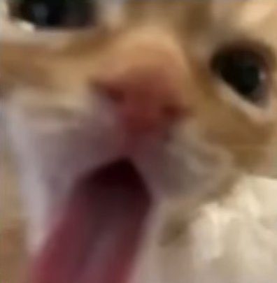 wisk mellow tweet media