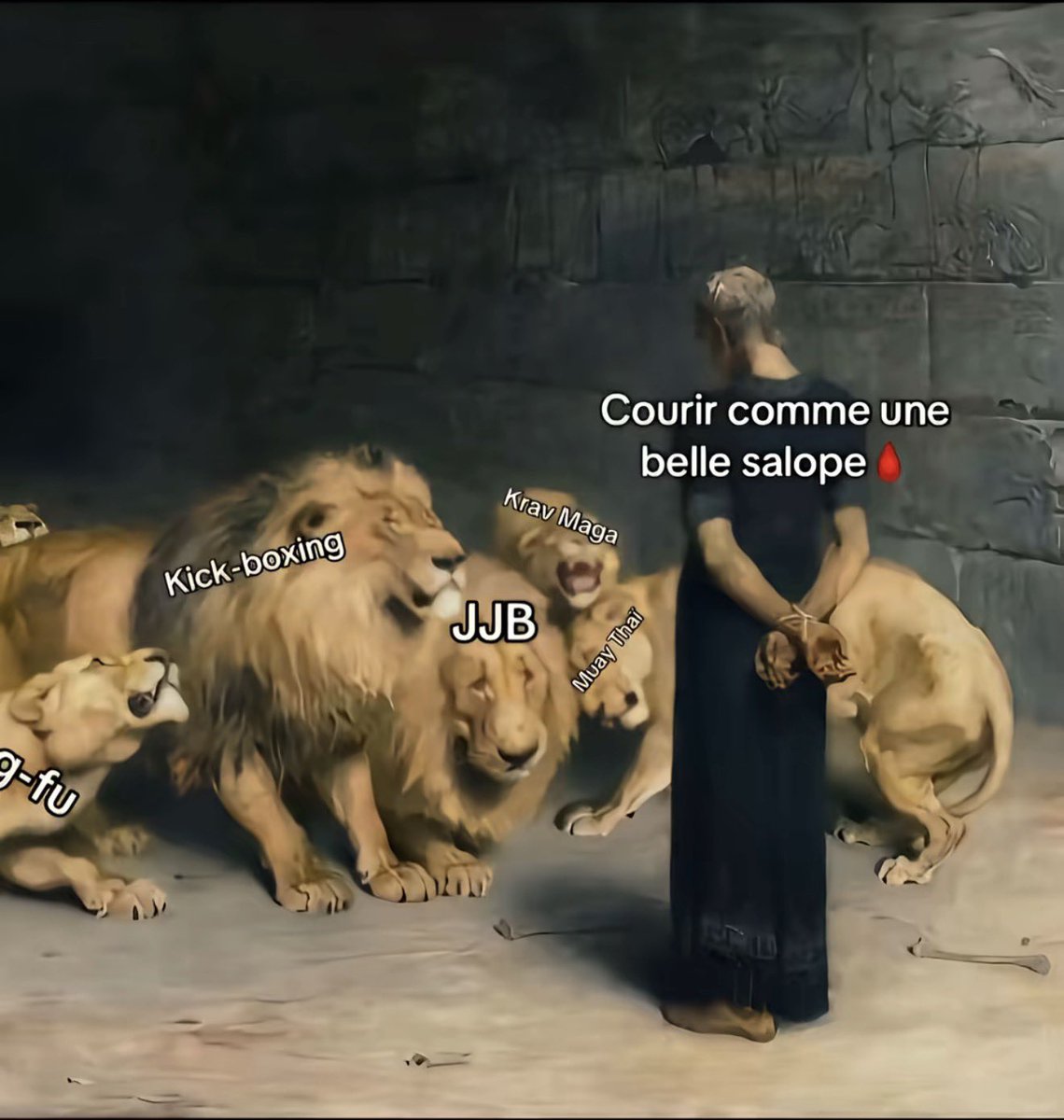 h×h 🇩🇿🇵🇸 tweet media