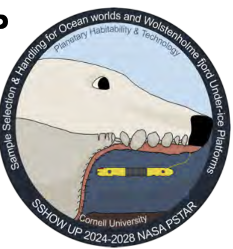 CornellArts&Sciences tweet media