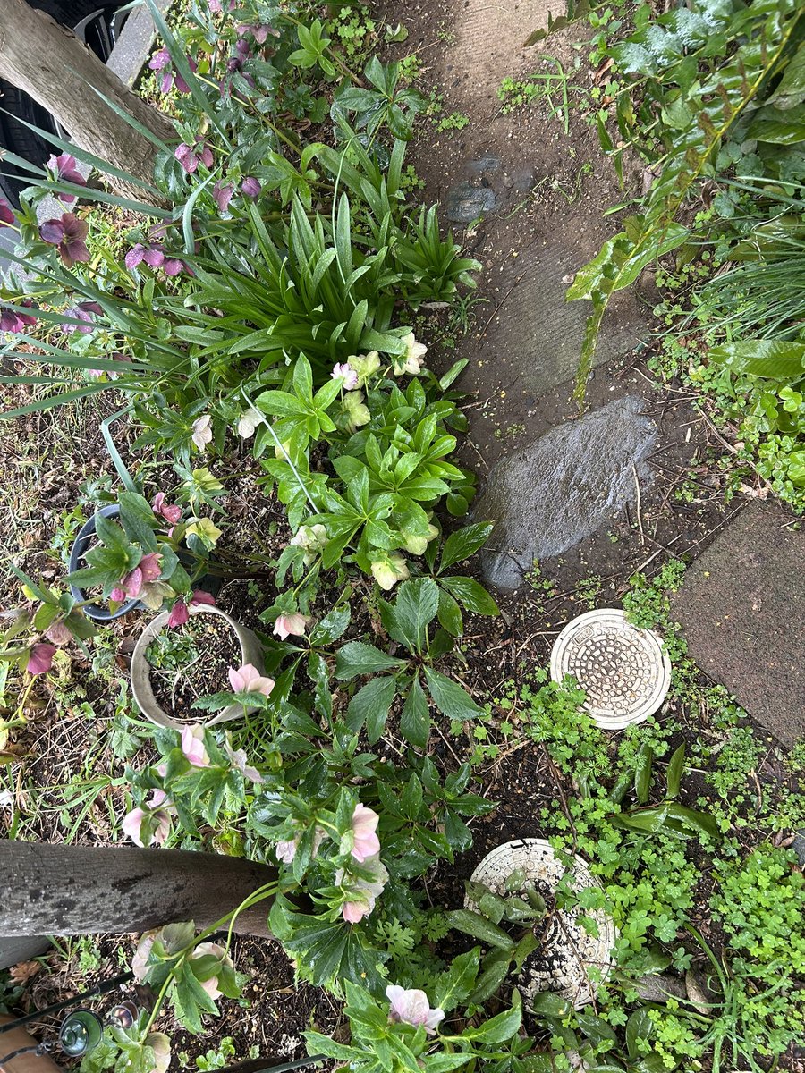 🎻🎸吉🚲🌷🥜 tweet media