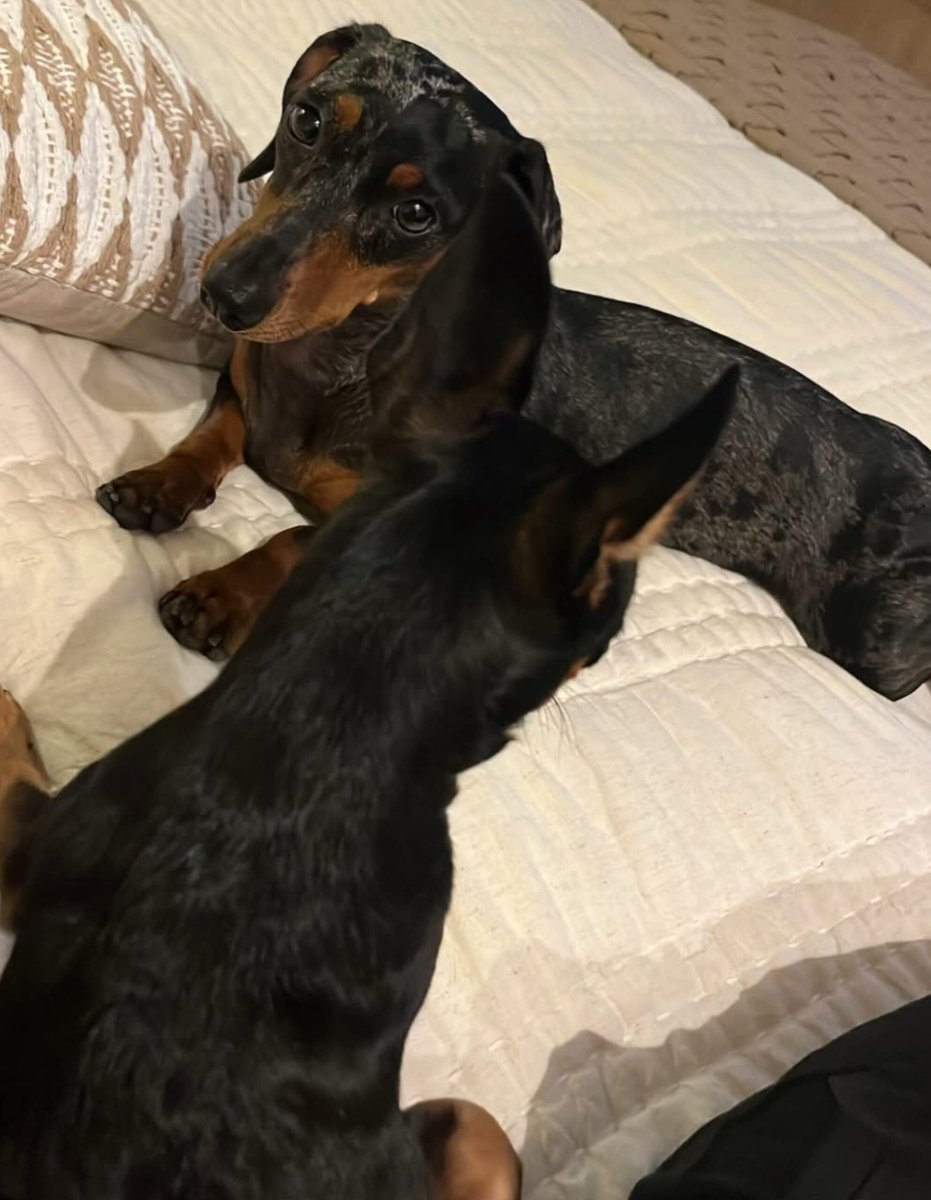 Leti Fisio tweet media