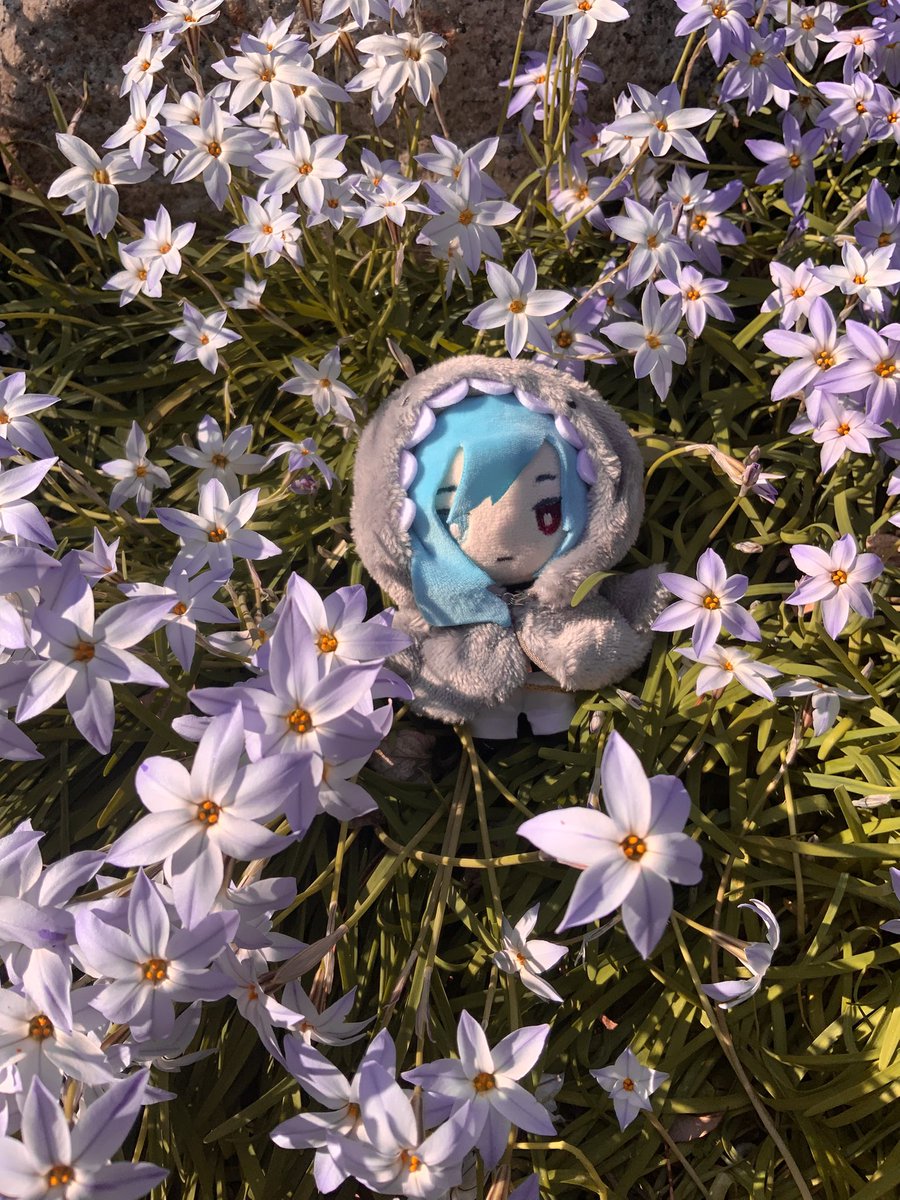 Tempest @backlog nov-dec cfv zine (@dragon8blade) on Twitter photo 