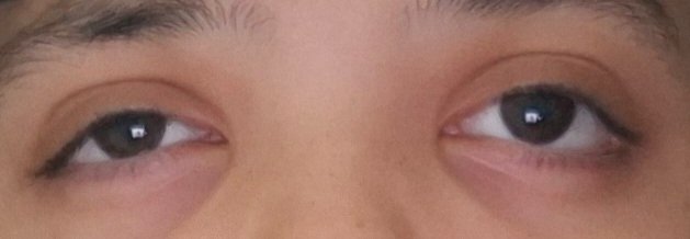 lilice 🍏🥁 tweet media