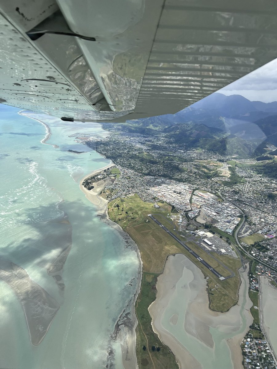 Tipsy 🇳🇿🇹🇭 tweet media