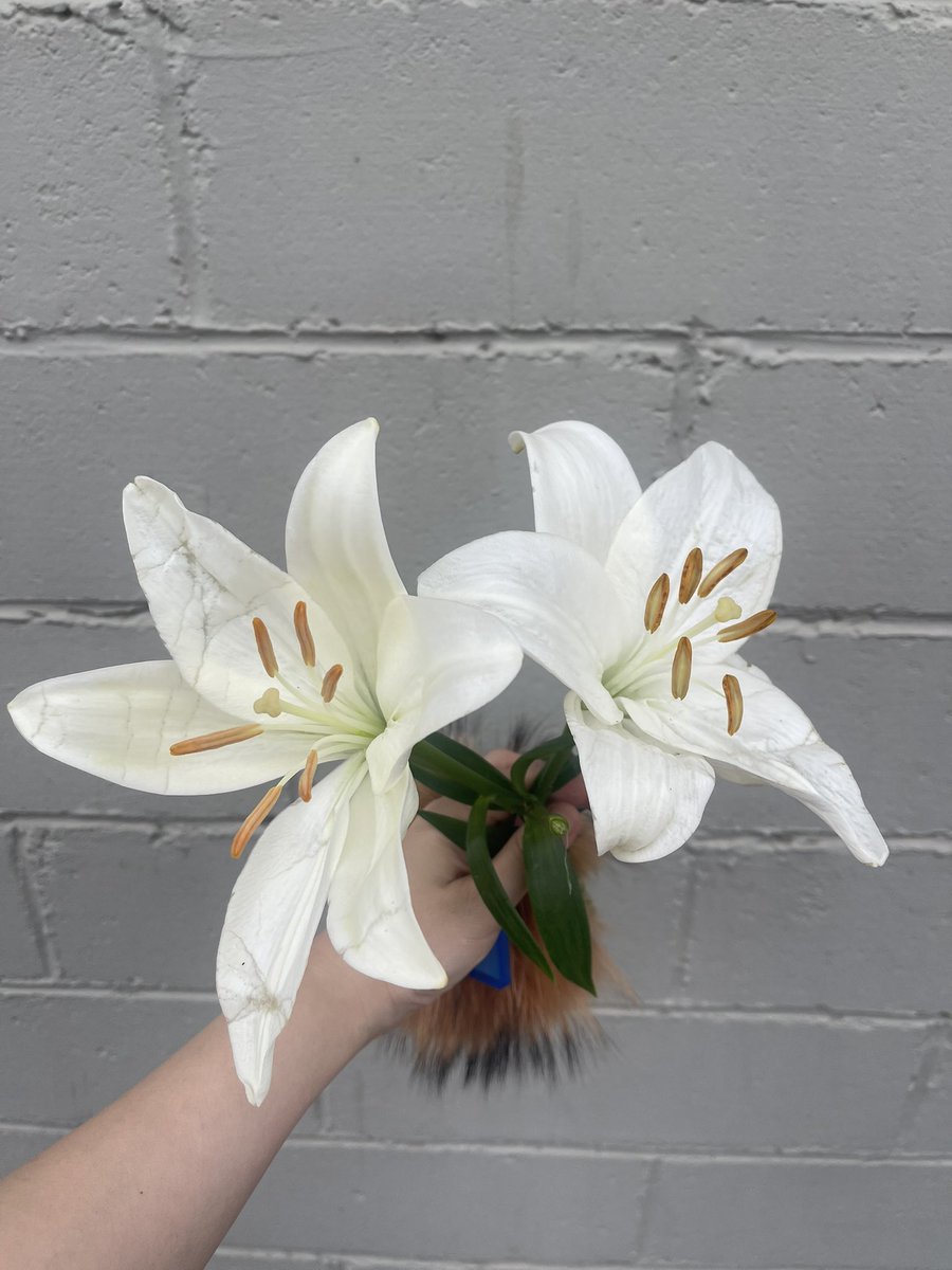 Jayoobyul tweet media