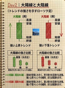 東京マーケット眼（め） tweet media