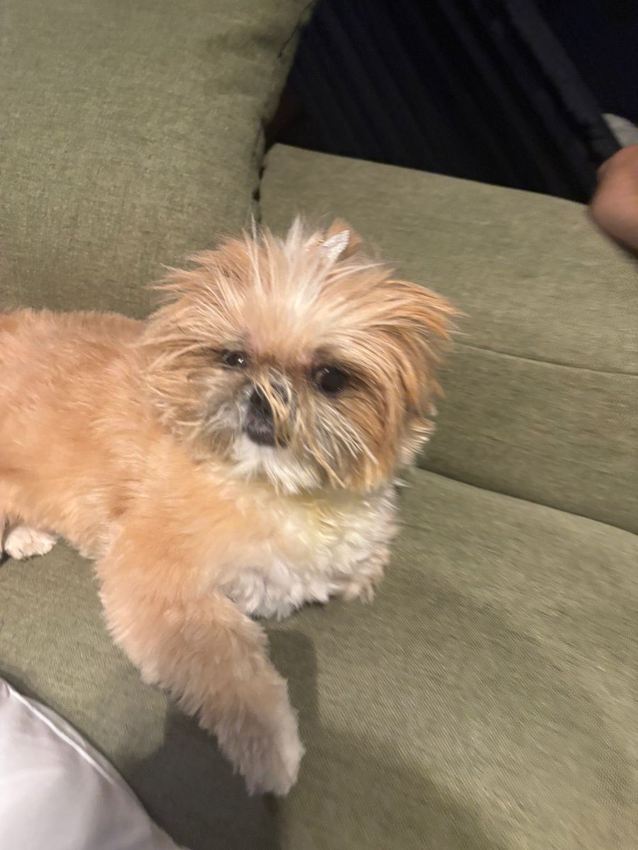 moonkase tweet media