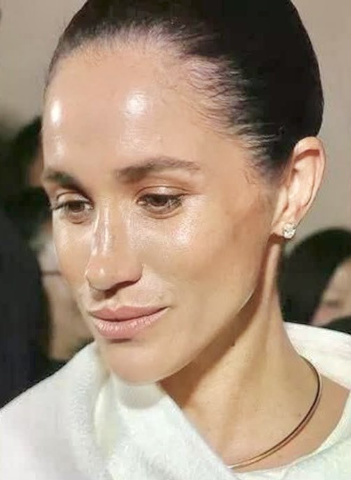 Harry, Meghan’s Spare tweet media