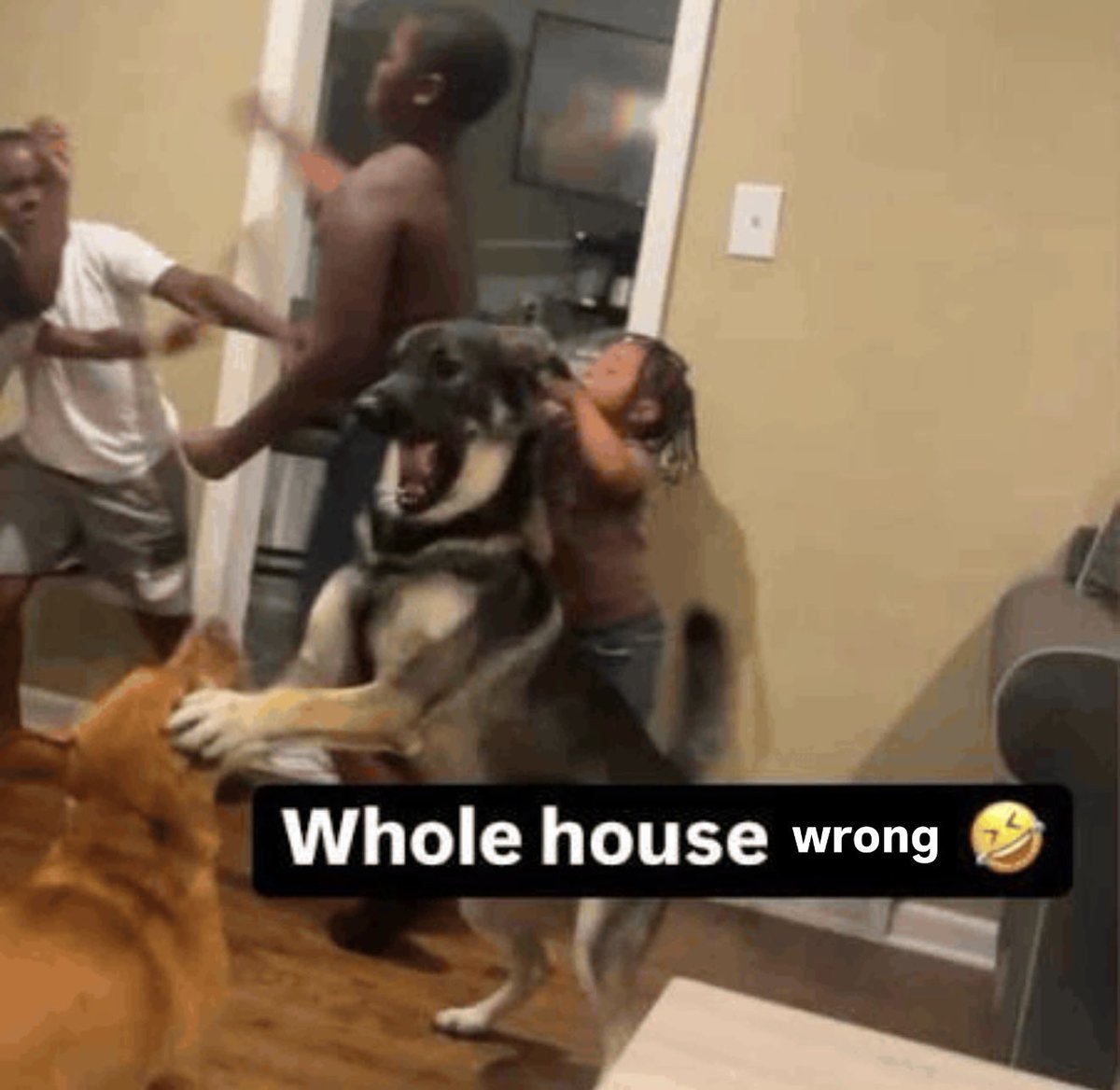 ˚✧ stephanie 🧚🏻‍♀️ tweet media