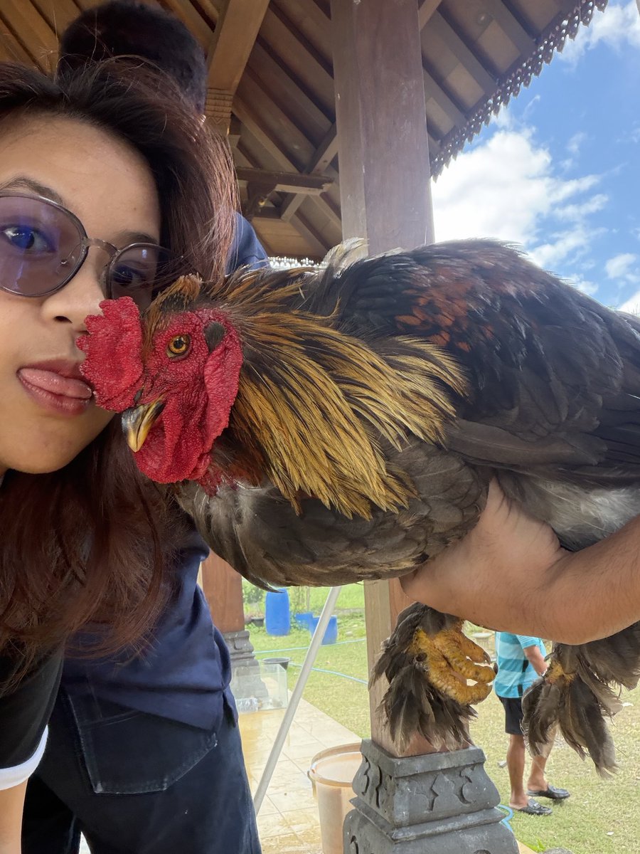 dean asatio 🦖 tweet media