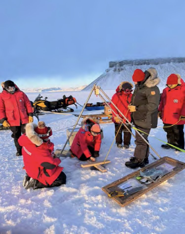 CornellArts&Sciences tweet media