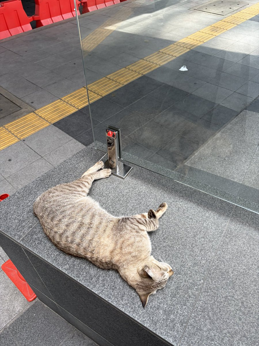 anness 🧷 tweet media